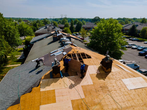 Trusted Storm Damage Roof Repair service in Horse Shoe, NC - Brentwood Metal Roofing